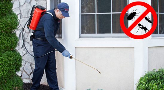Demre Hamam Böceği İlaçlama böcek ilaçlama ve haşere kontrolü — ilaclama-tr.com